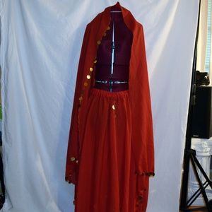4 Panel Belly Dance Skirt & Veil project